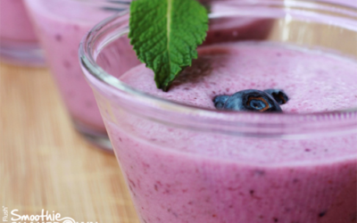 Blueberry Mousse Recipe